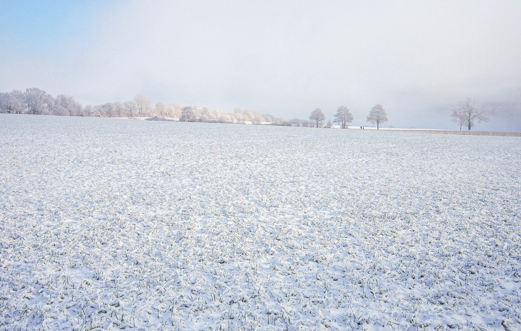 Ferieleilighet - Jesberg / Densberg , Tyskland - DHE276 33