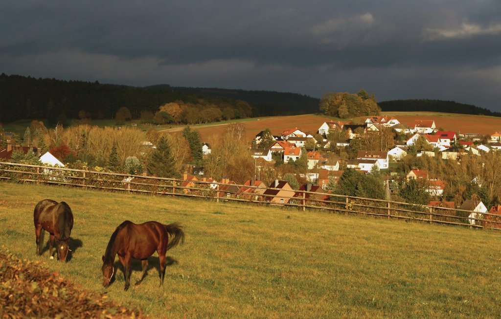 Feriehus - Kirchheim/Hessen , Tyskland - DHE185 25
