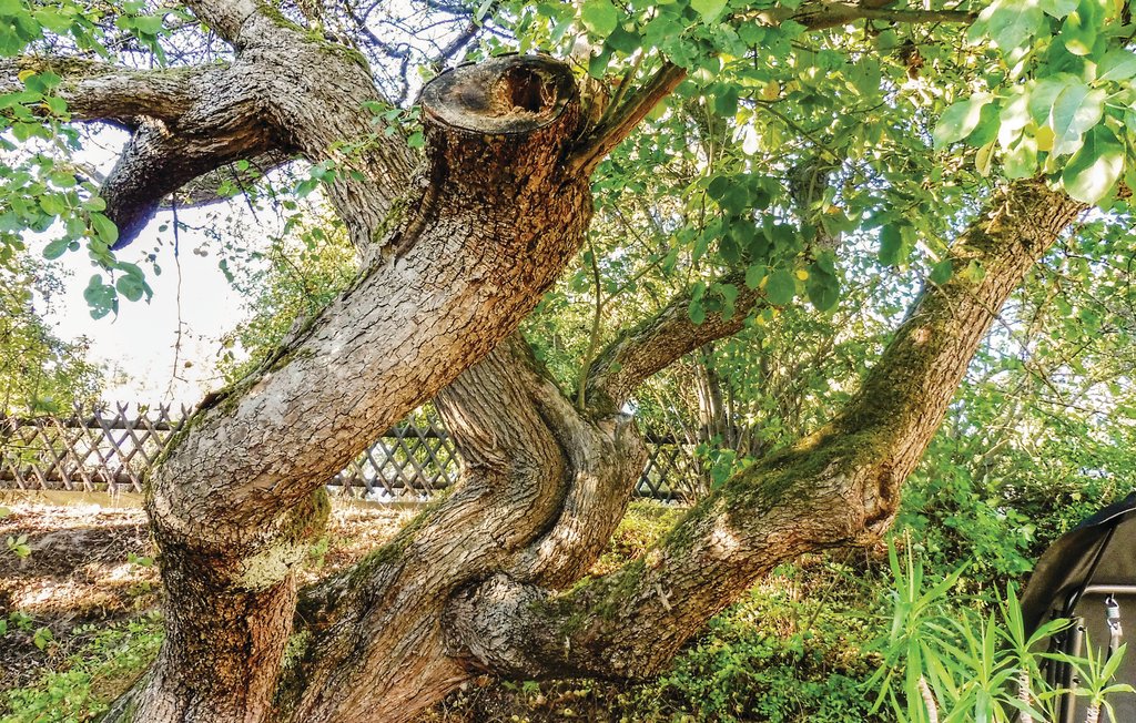 Semesterhus - Schlitz-Rimbach , Tyskland - DHE274 7