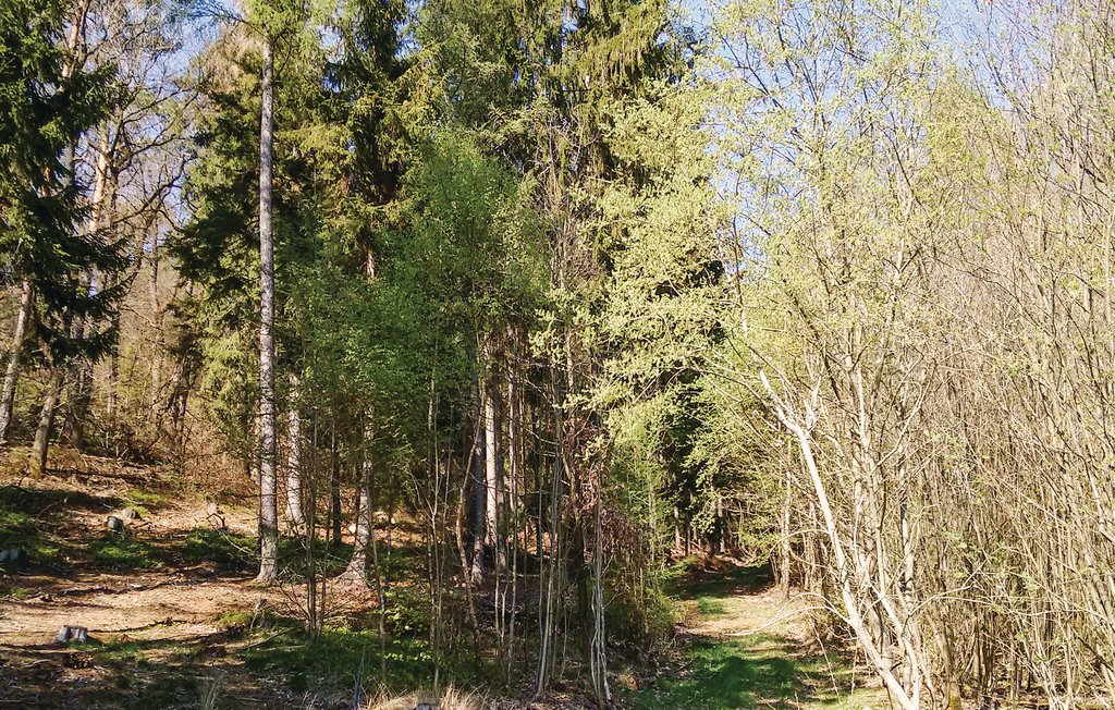 Feriehus - Frankenau , Tyskland - DHE309 15