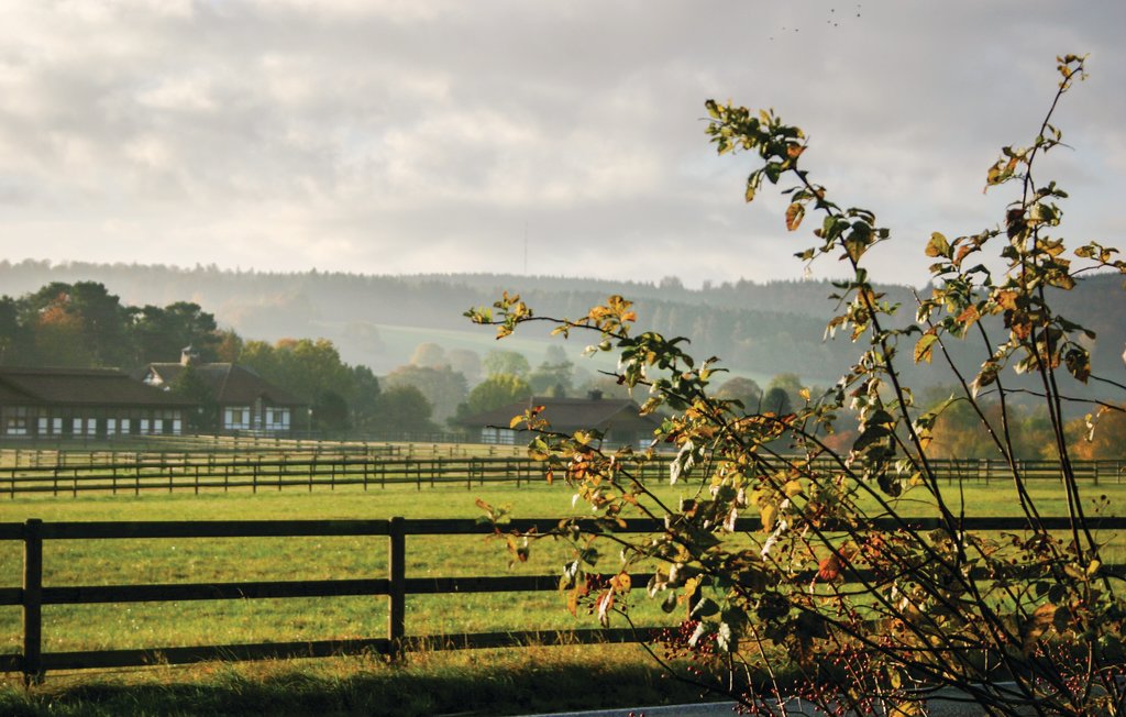 Ferienhaus - Oberaula/Hausen , Deutschland - DHE209 18