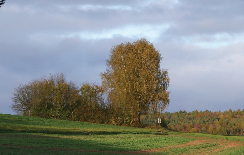 Feriehus - Kirchheim/Hessen , Tyskland - DHE185 26