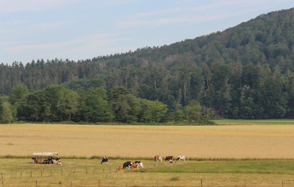 Feriehuse - Oberaula/Hausen , Tyskland - DHE210 24