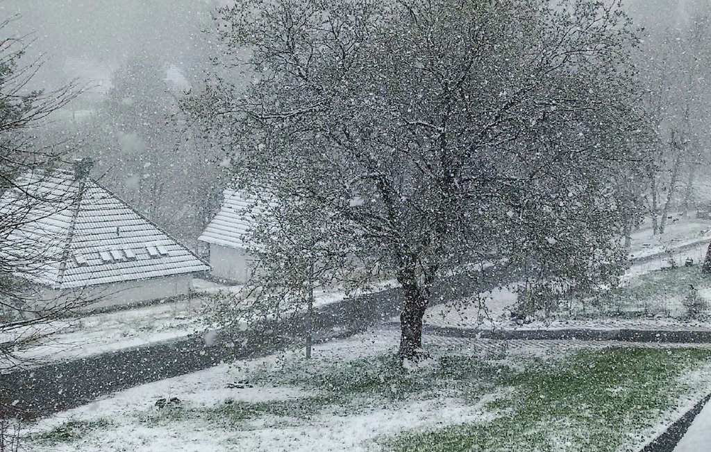 Feriehus - Frankenau , Tyskland - DHE309 16