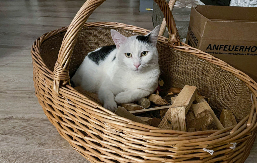 Feriehuse - Kirchheim/Hessen , Tyskland - DHE221 18