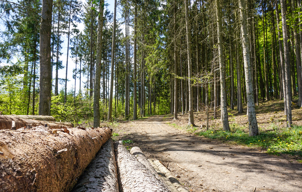 Feriehus - Kirchheim/Hessen , Tyskland - DHE220 8