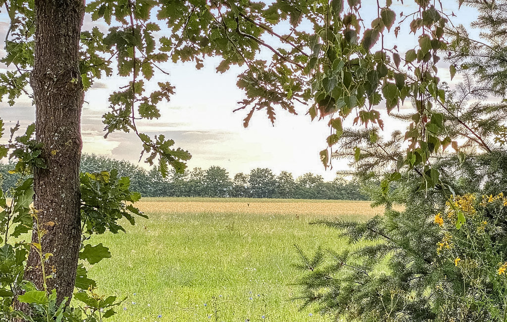 Semesterlägenhet - Thalfang , Tyskland - DHU210 10