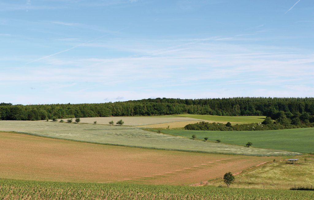 Semesterhus - Thalfang , Tyskland - DHU219 15