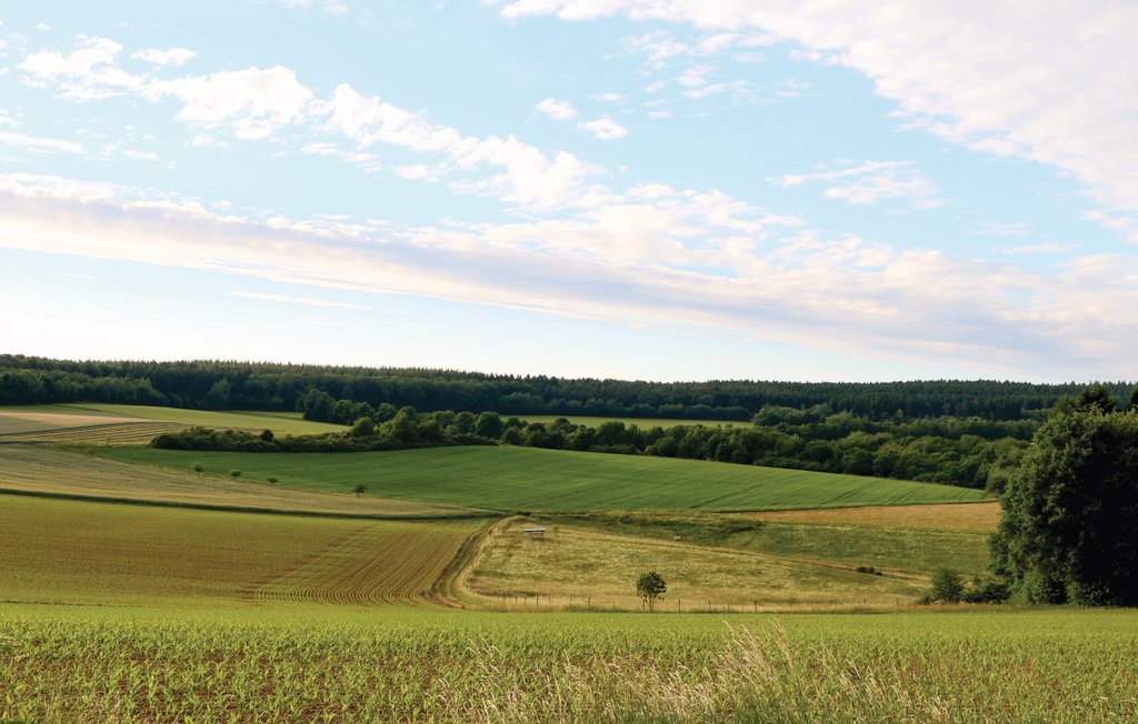 Ferienhaus - Thalfang , Deutschland - DHU221 17