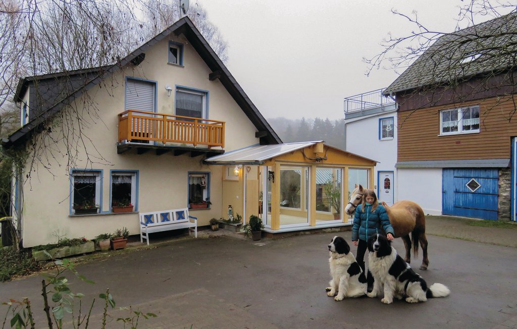 Bild 6 Bild 6