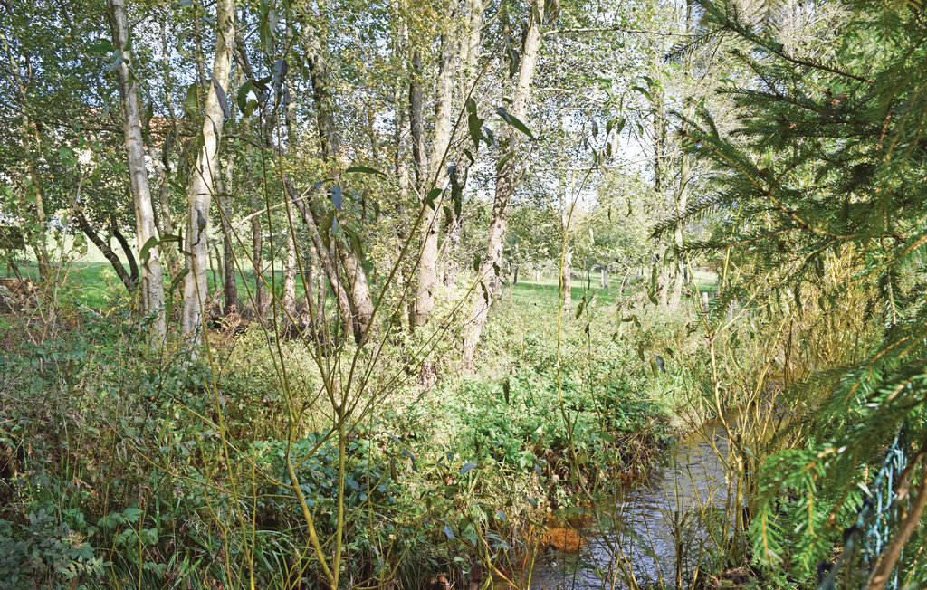 Bild 22 Bild 22