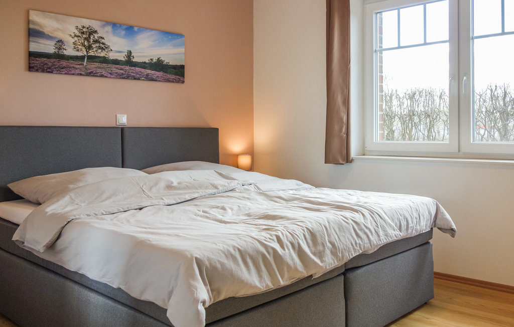 Ferienhaus - Schneverdingen , Deutschland - DLH128 8