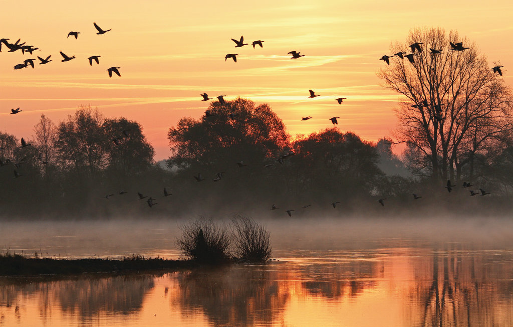 Ferienhaus - Bleckede , Deutschland - DLH122 38