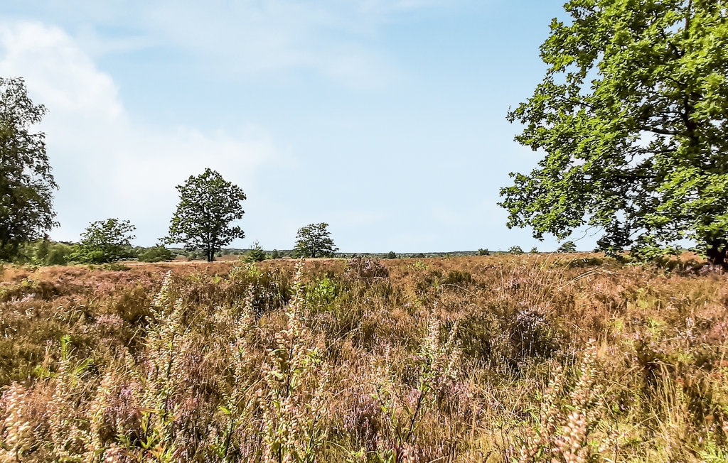 Ferienhaus - Schneverdingen , Deutschland - DLH128 31