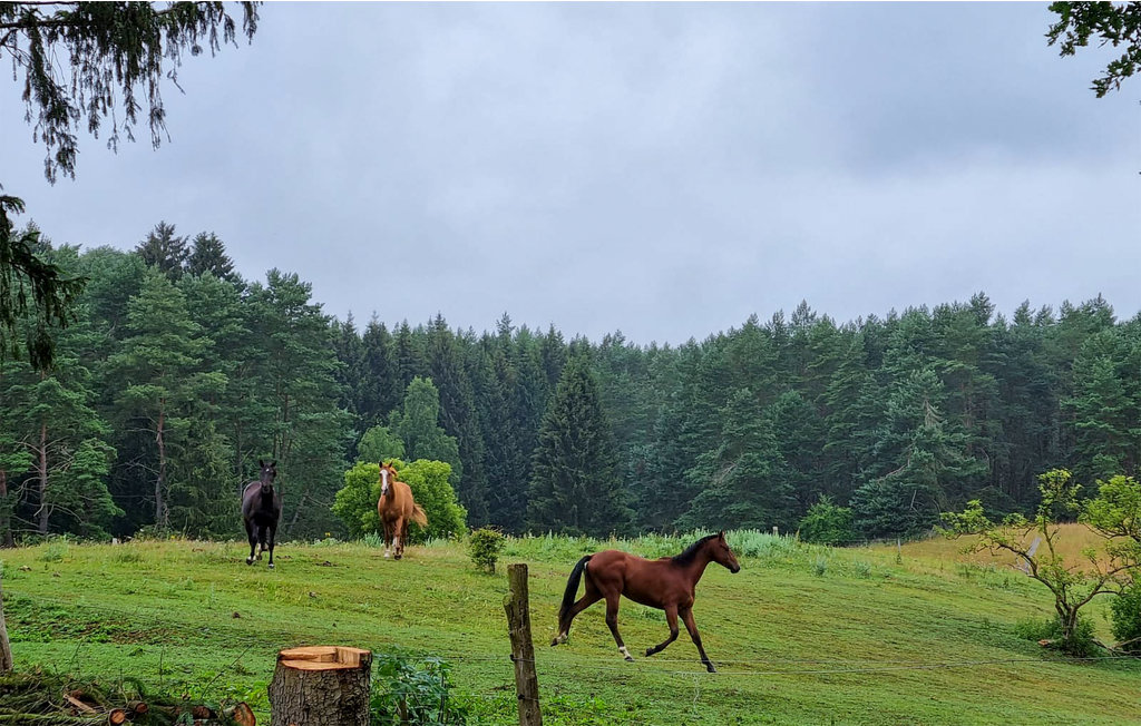 Feriehus - Wardow OT Goritz , Tyskland - DME389 10
