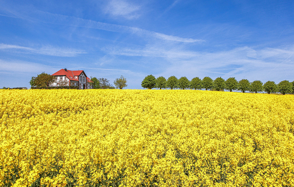 Ferienhaus - Insel Poel , Deutschland - DME323 22