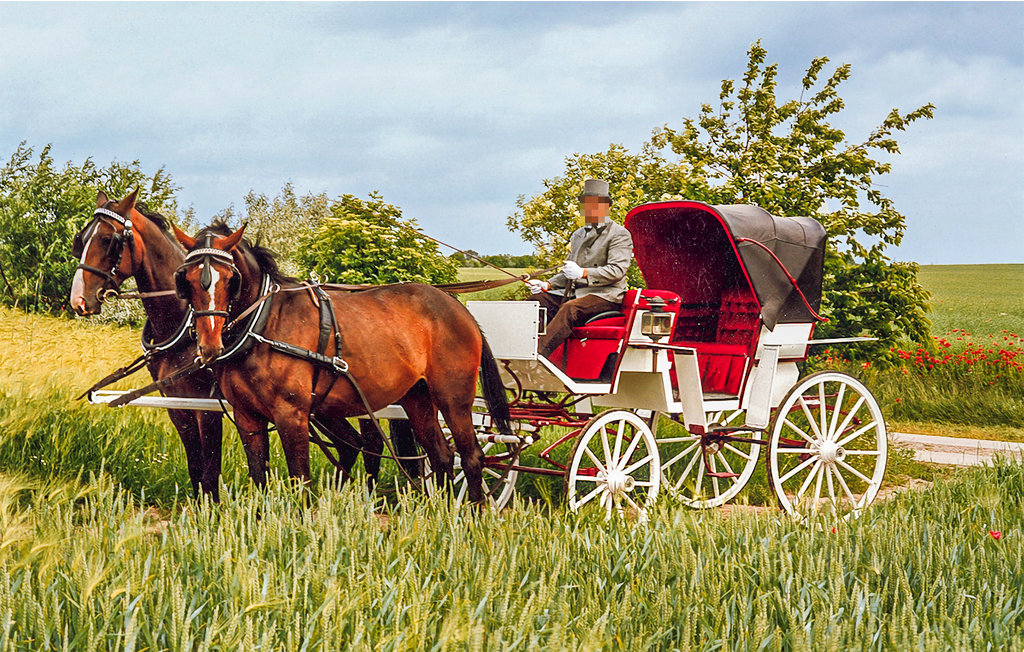 Ferienhaus - Insel Poel , Deutschland - DME323 24
