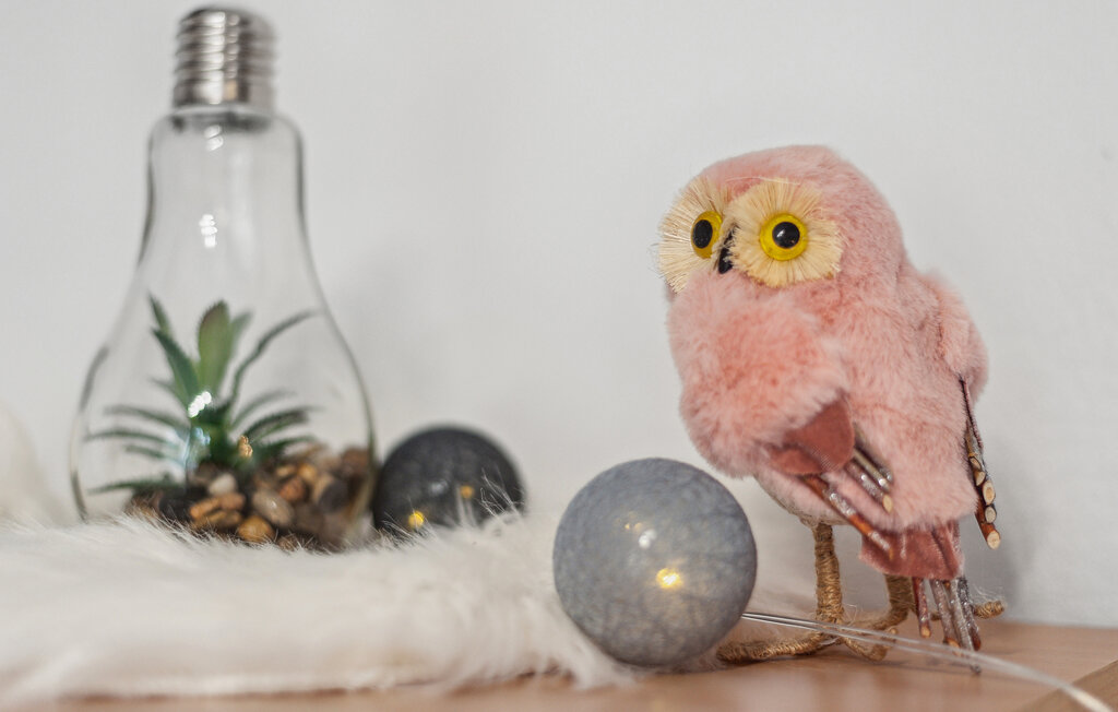 
Holiday rental - Speck , Germany - DME364 11