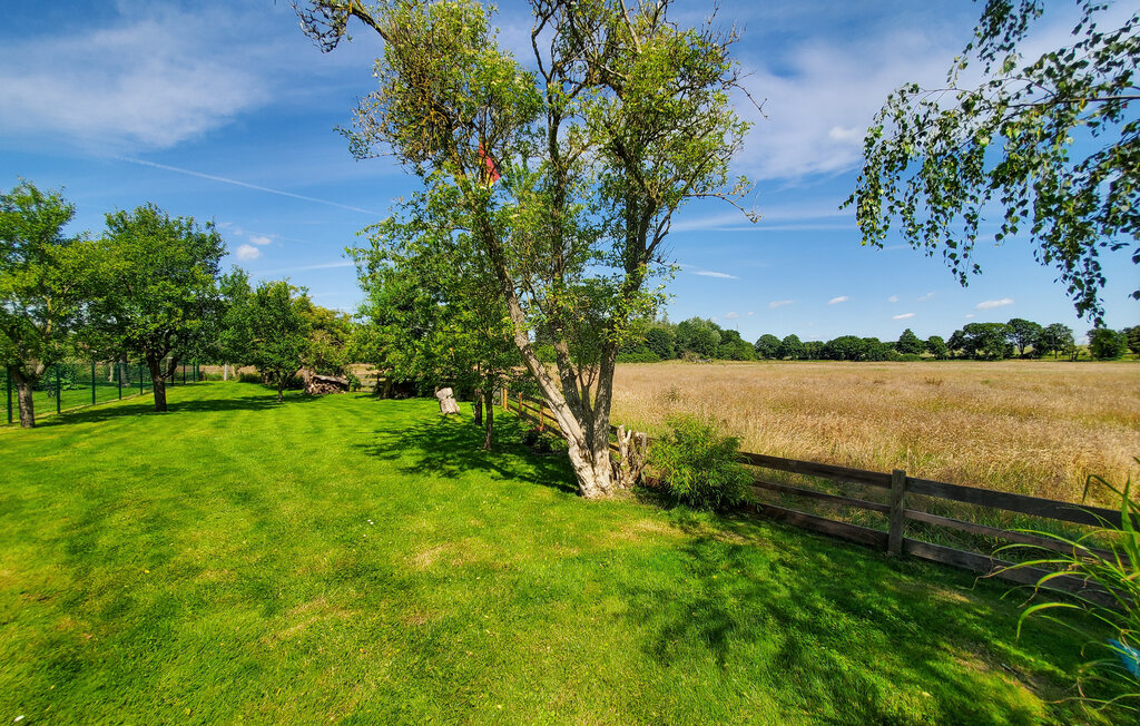 Kuća-za-odmor - Dabel/Sternberger Seen , Njemačka - DME377 11