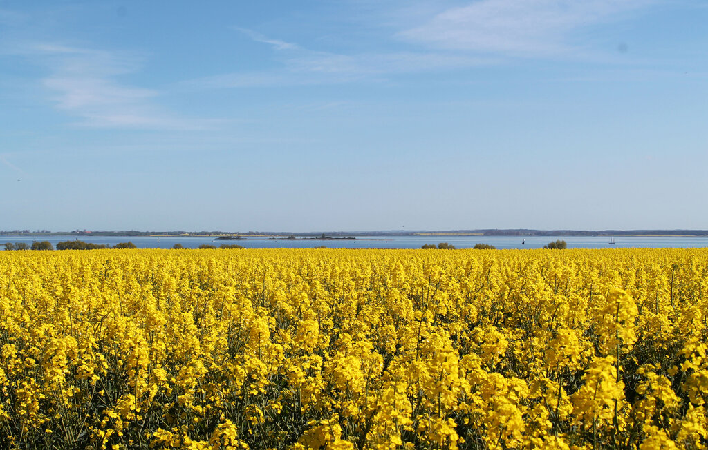 Ferieleilighet - Wismar , Tyskland - DME478 14