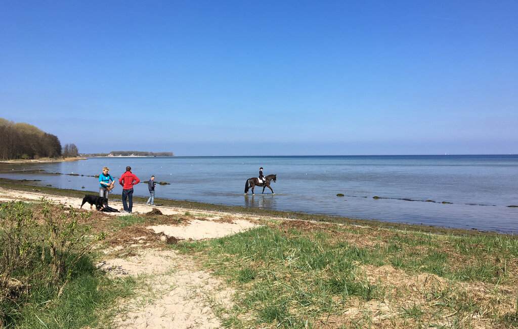 Ferieleilighet - Wismar , Tyskland - DME478 18