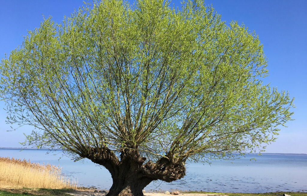 Ferieleilighet - Wismar , Tyskland - DME478 19