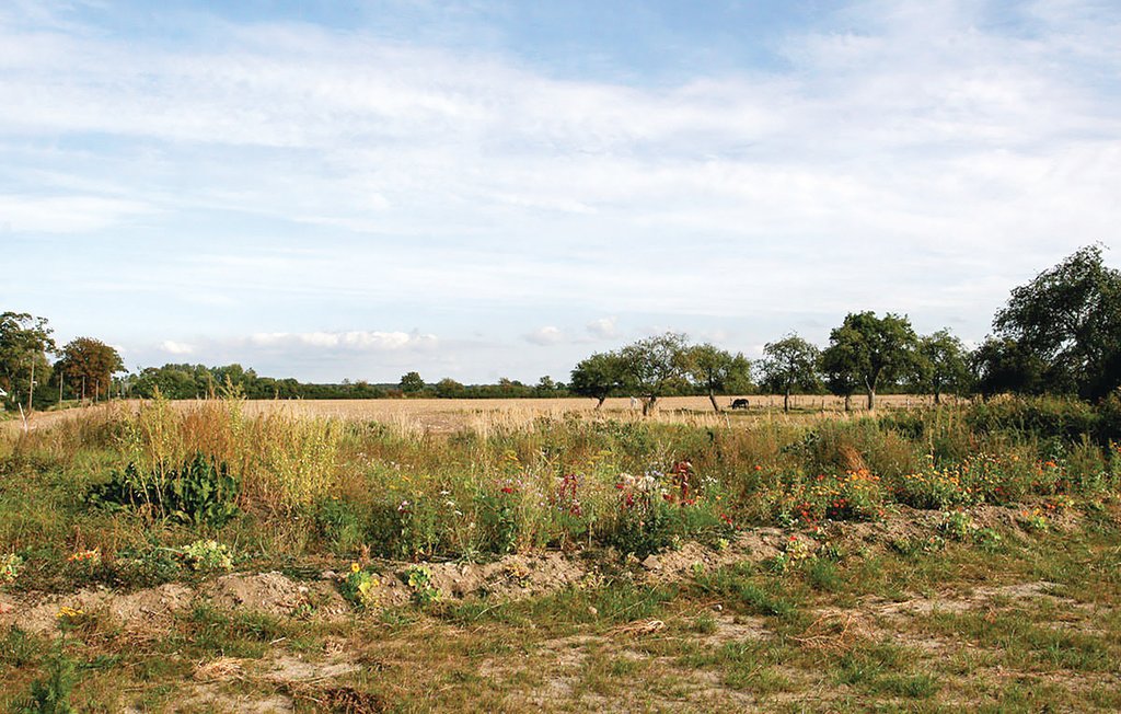 Feriehus - Ribnitz-Damgarten/Beiershagen , Tyskland - DMK170 9