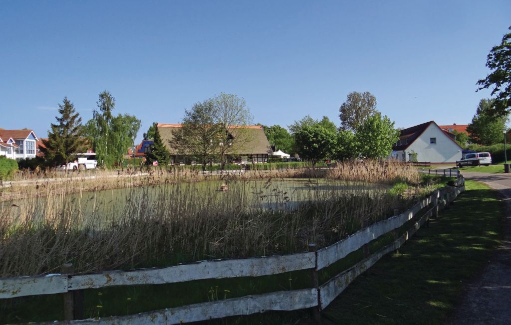 Ferieleilighet - Insel Poel/Gollwitz , Tyskland - DMK298 13