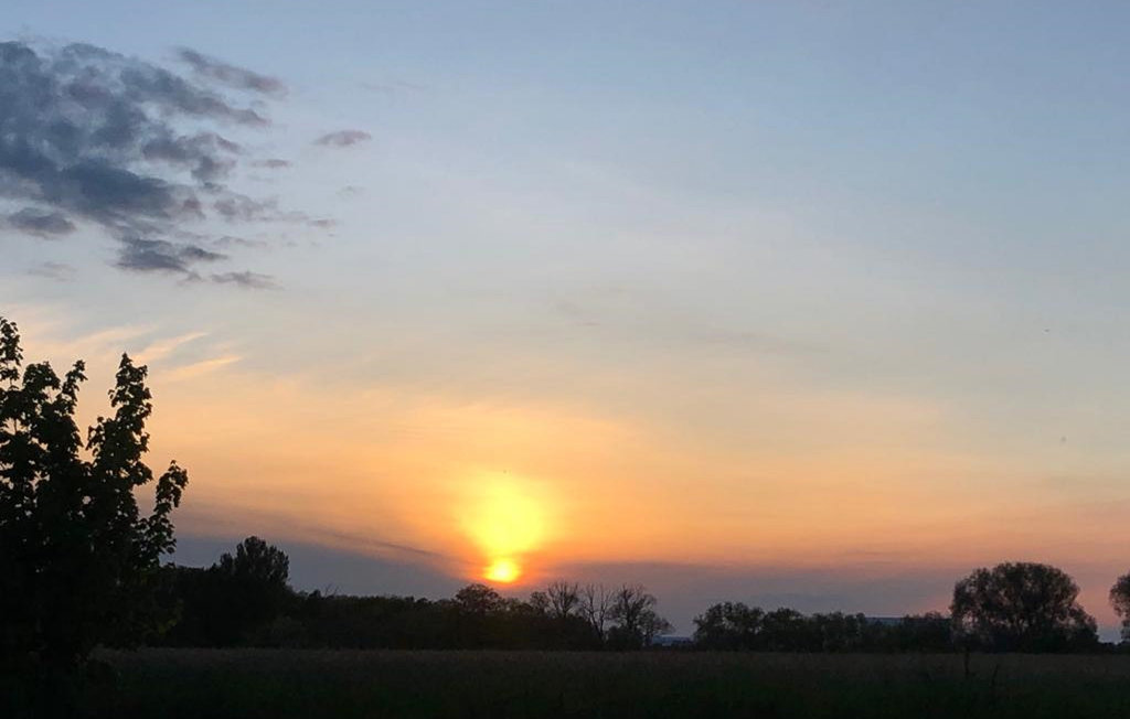 Feriehuse - Bellin , Tyskland - DMK119 8