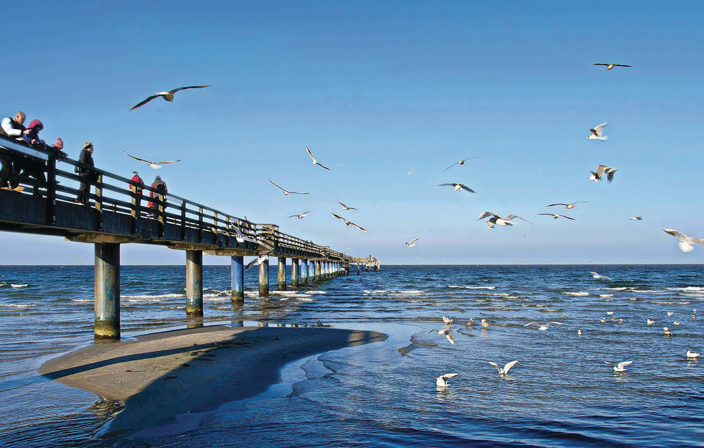 Feriehus - Hohen Wieschendorf , Tyskland - DMK242 24