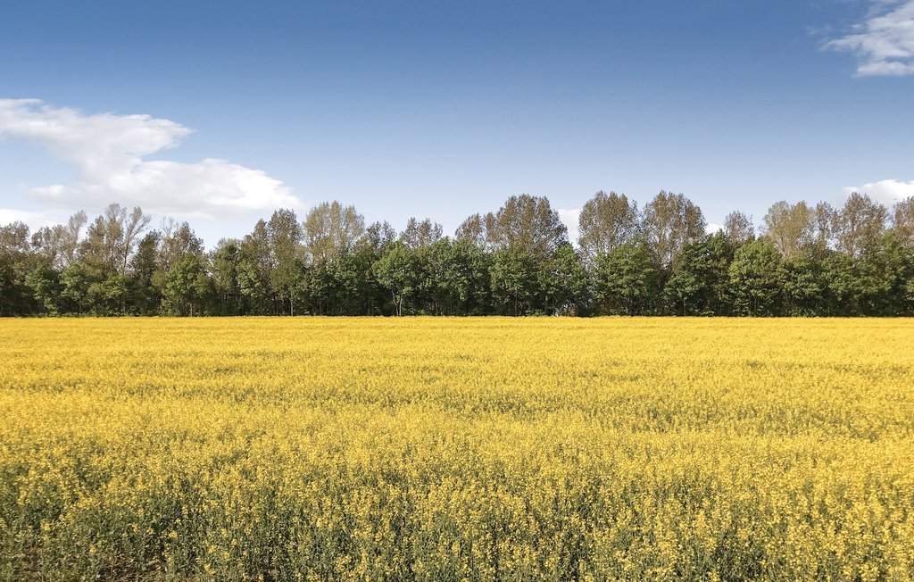 Ferieleilighet - Insel Poel/Gollwitz , Tyskland - DMK431 29