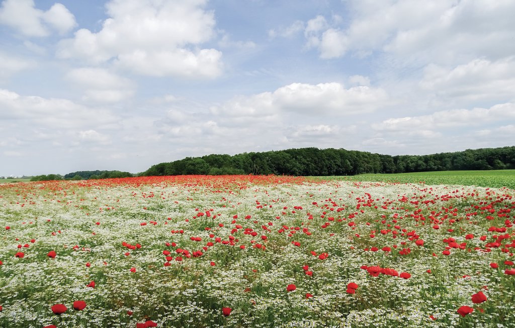 Semesterhus - Insel Poel , Tyskland - DMK675 25