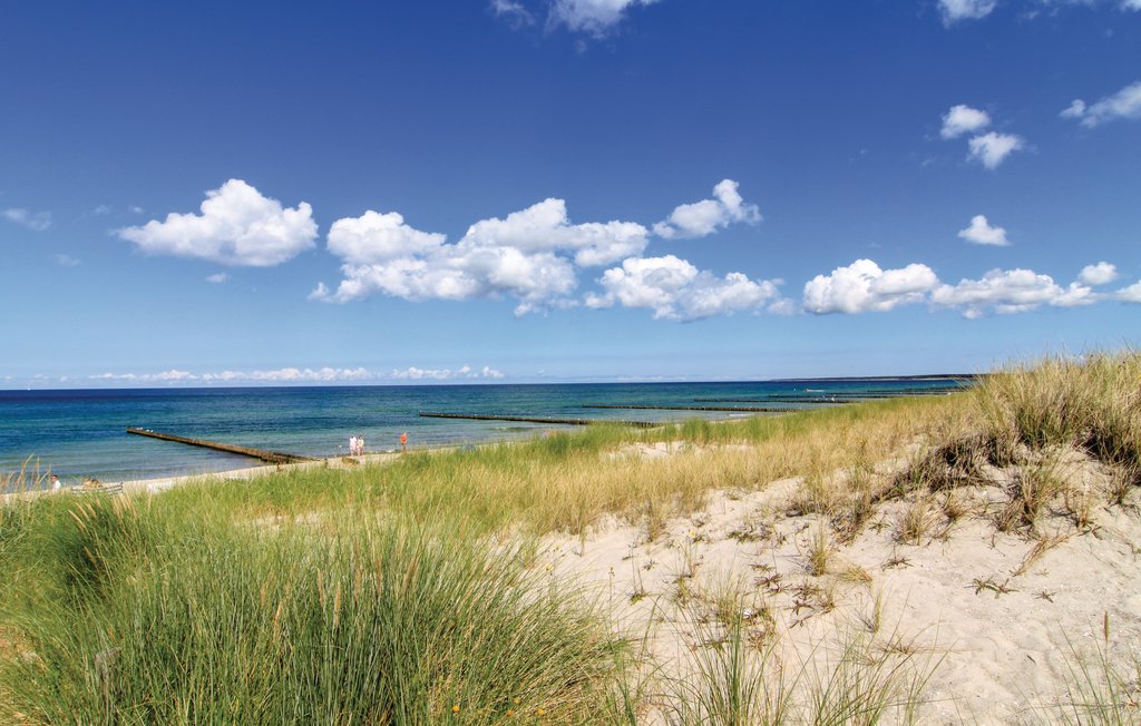 Feriehus - Zierow OT Poeler Drift , Tyskland - DMK100 40