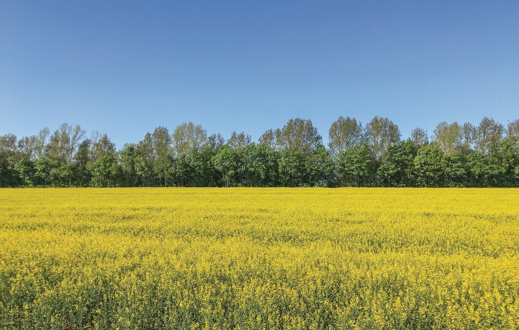 Ferienwohnung - Insel Poel/Gollwitz , Deutschland - DMK432 21