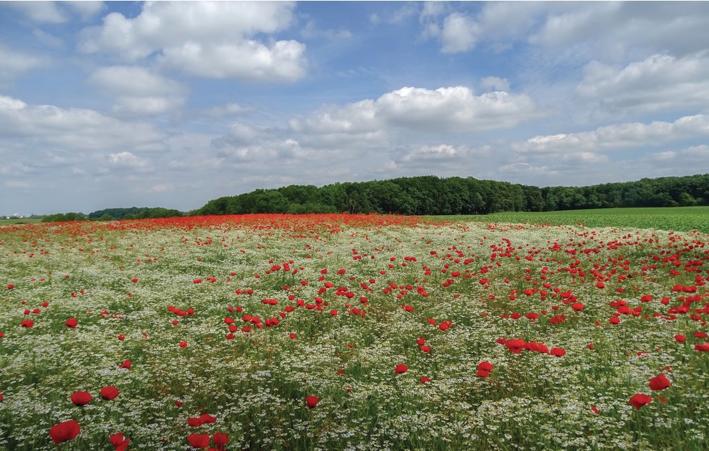 Ferieleilighet - Insel Poel , Tyskland - DMK668 17