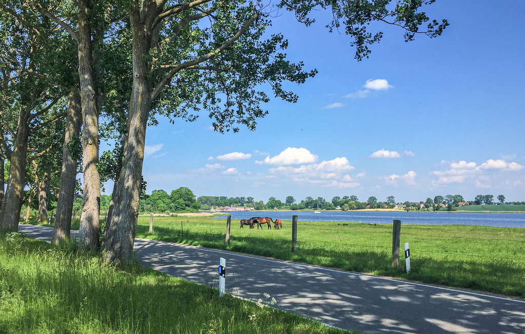 Ferieleilighet - Insel Poel/Gollwitz , Tyskland - DMK431 16