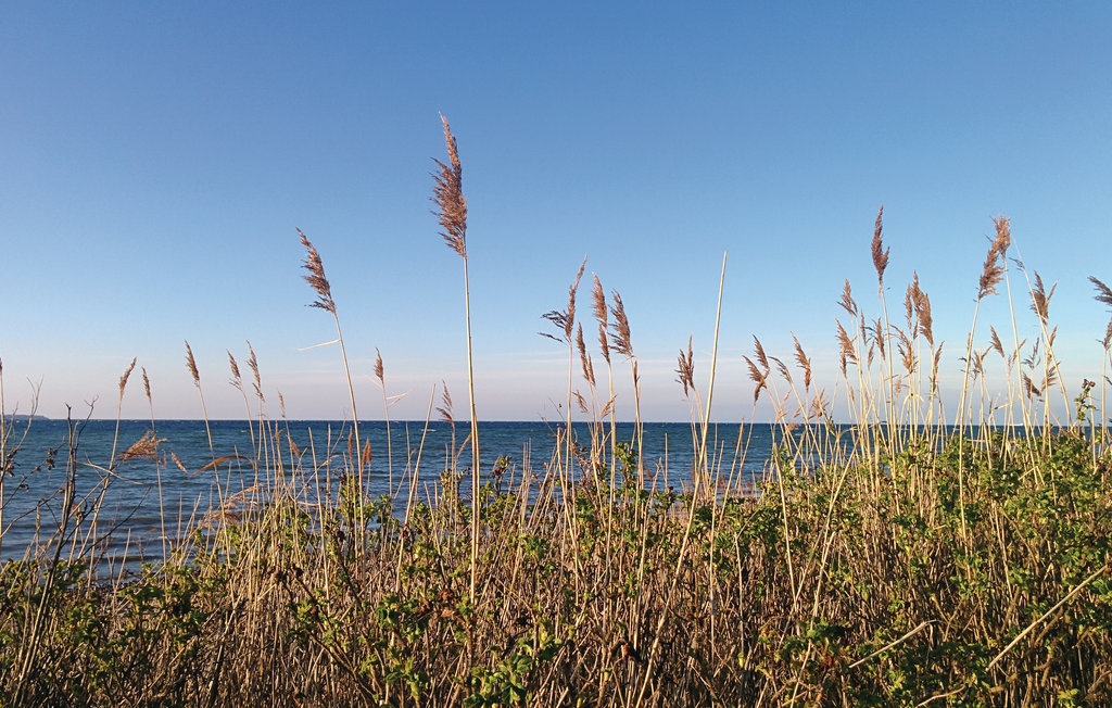 Semesterlägenhet - Hohen Wieschendorf , Tyskland - DMK558 20
