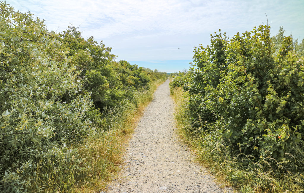 Ferieleilighet - Börgerende , Tyskland - DMK773 12