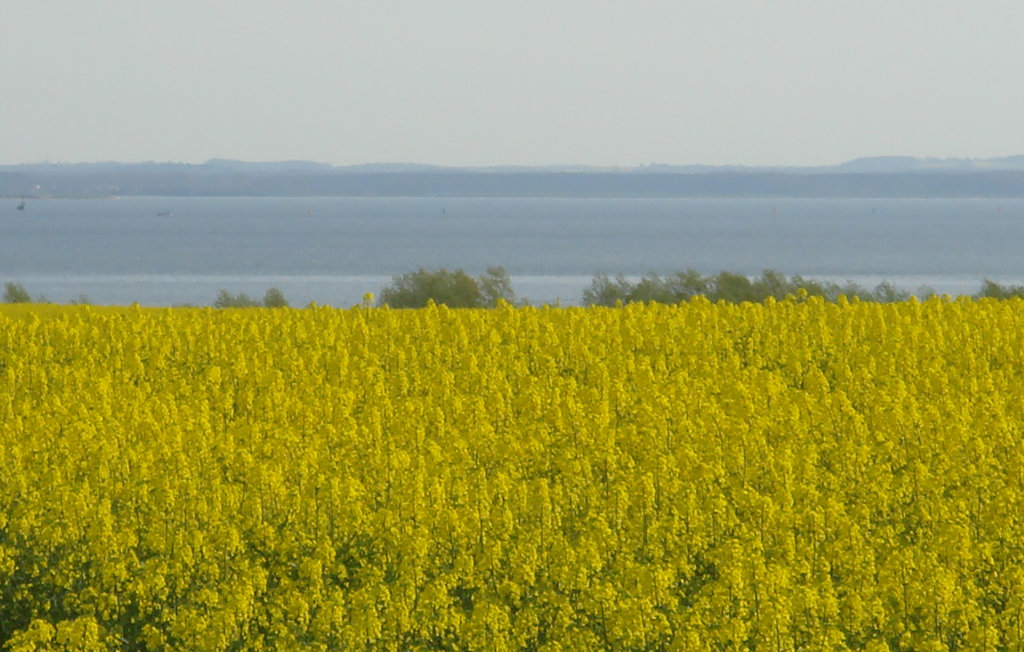 Feriehus - Hohen Wieschendorf , Tyskland - DMK242 16