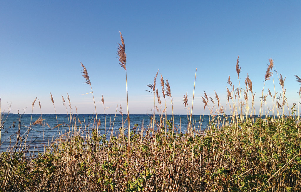 Semesterlägenhet - Hohen Wieschendorf , Tyskland - DMK548 15