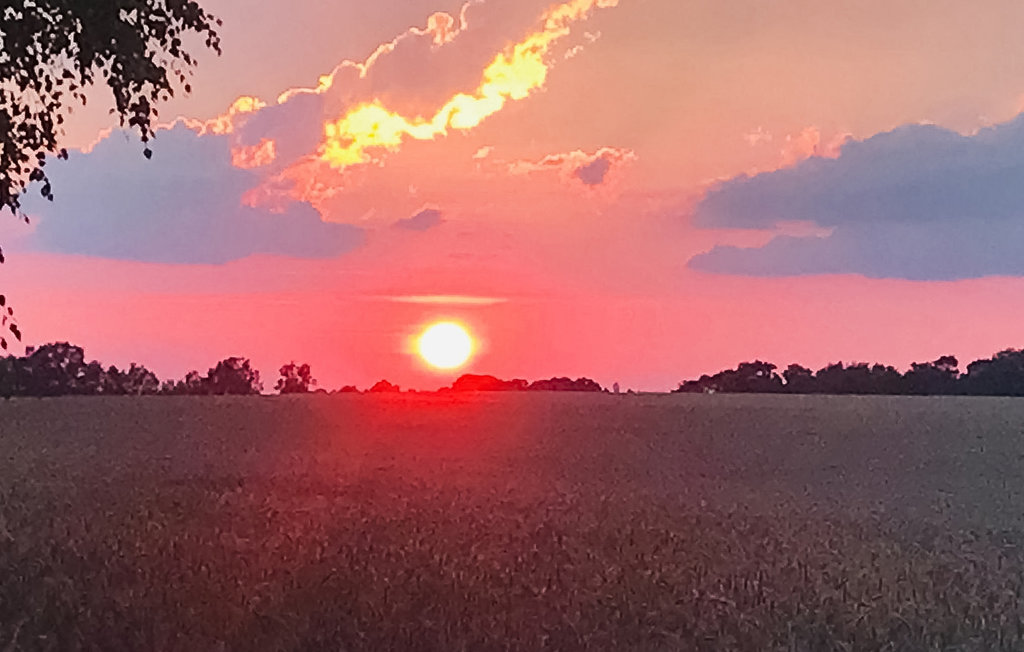 Feriehuse - Bellin , Tyskland - DMK119 13