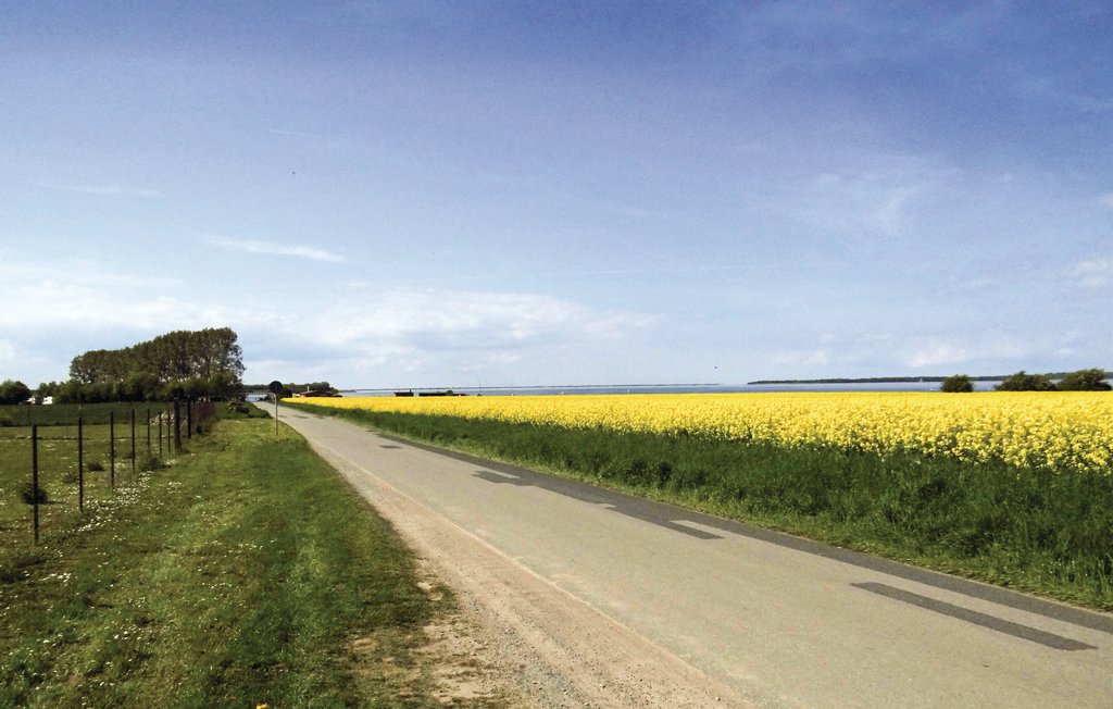 Ferieleilighet - Boiensdorf , Tyskland - DMK184 23