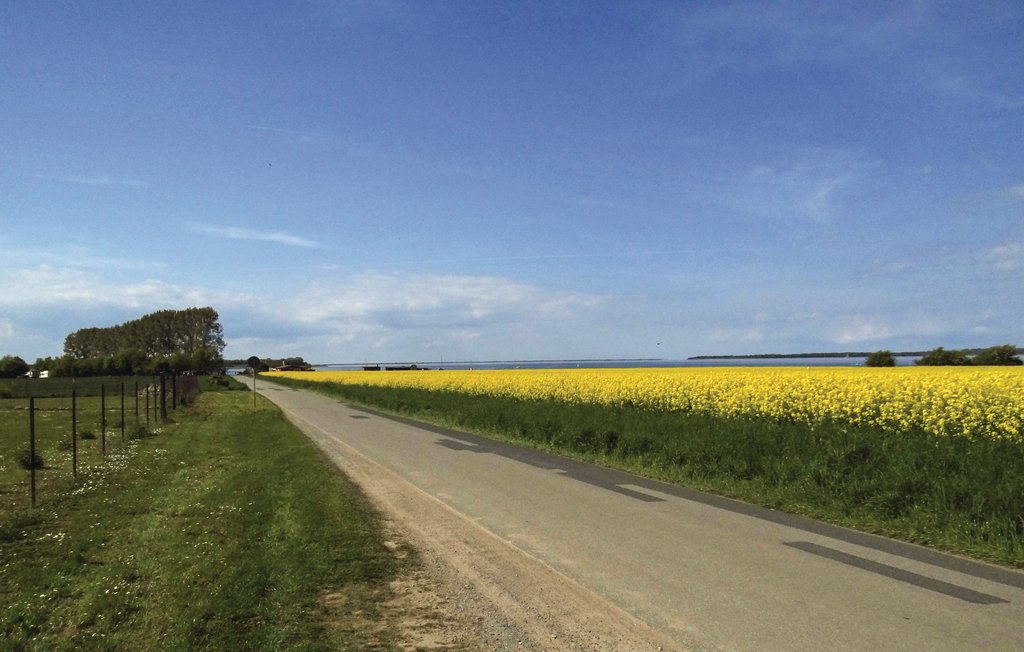 Ferieleilighet - Boiensdorf , Tyskland - DMK526 16