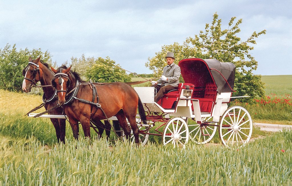 Ferieleilighet - Insel Poel , Tyskland - DMK668 27