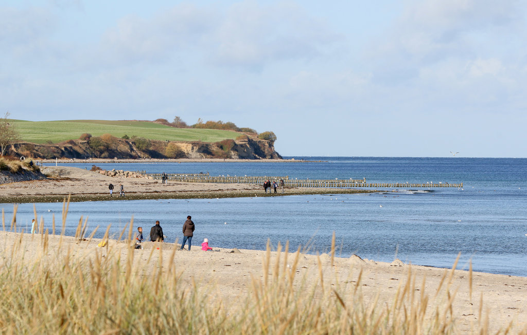 Ferieleilighet - Boltenhagen , Tyskland - DMK801 26