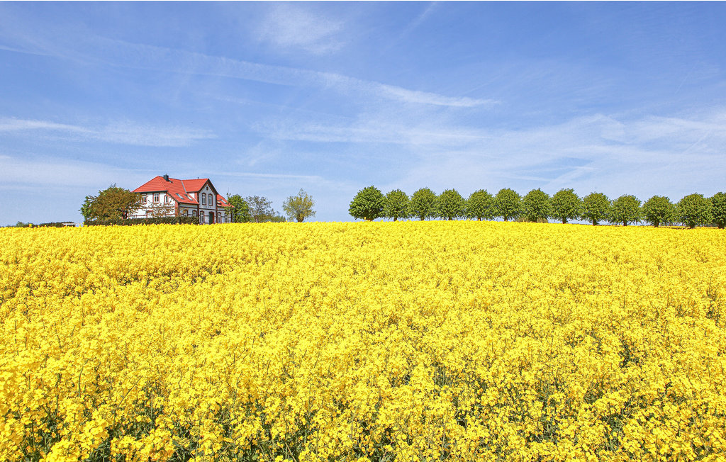 Ferieleilighet - Gollwitz/Poel , Tyskland - DMK736 14