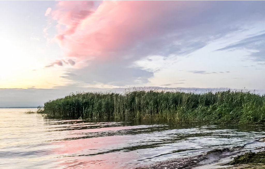 Feriehuse - Bellin , Tyskland - DMK119 14