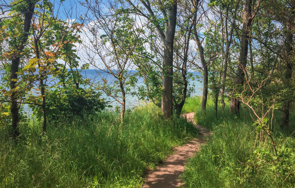 Ferieleilighet - Insel Poel/Gollwitz , Tyskland - DMK148 16