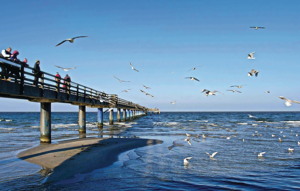 Feriehus - Hohen Wieschendorf , Tyskland - DMK231 22