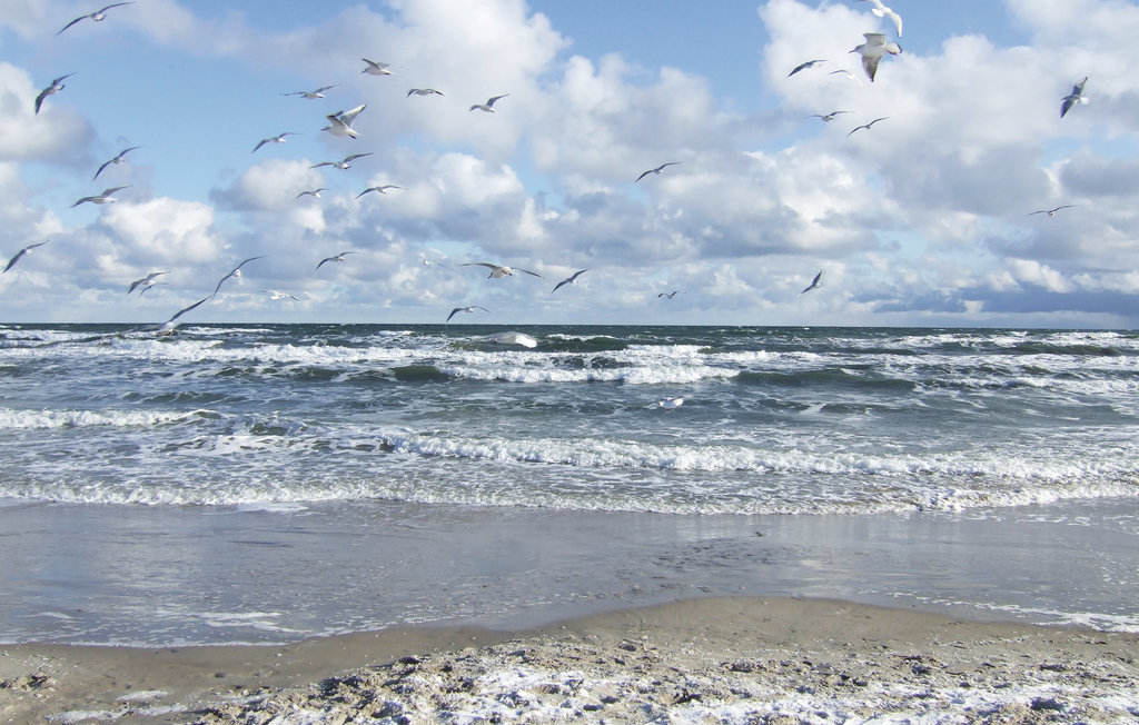 Semesterlägenhet - Hohen Wieschendorf , Tyskland - DMK548 20
